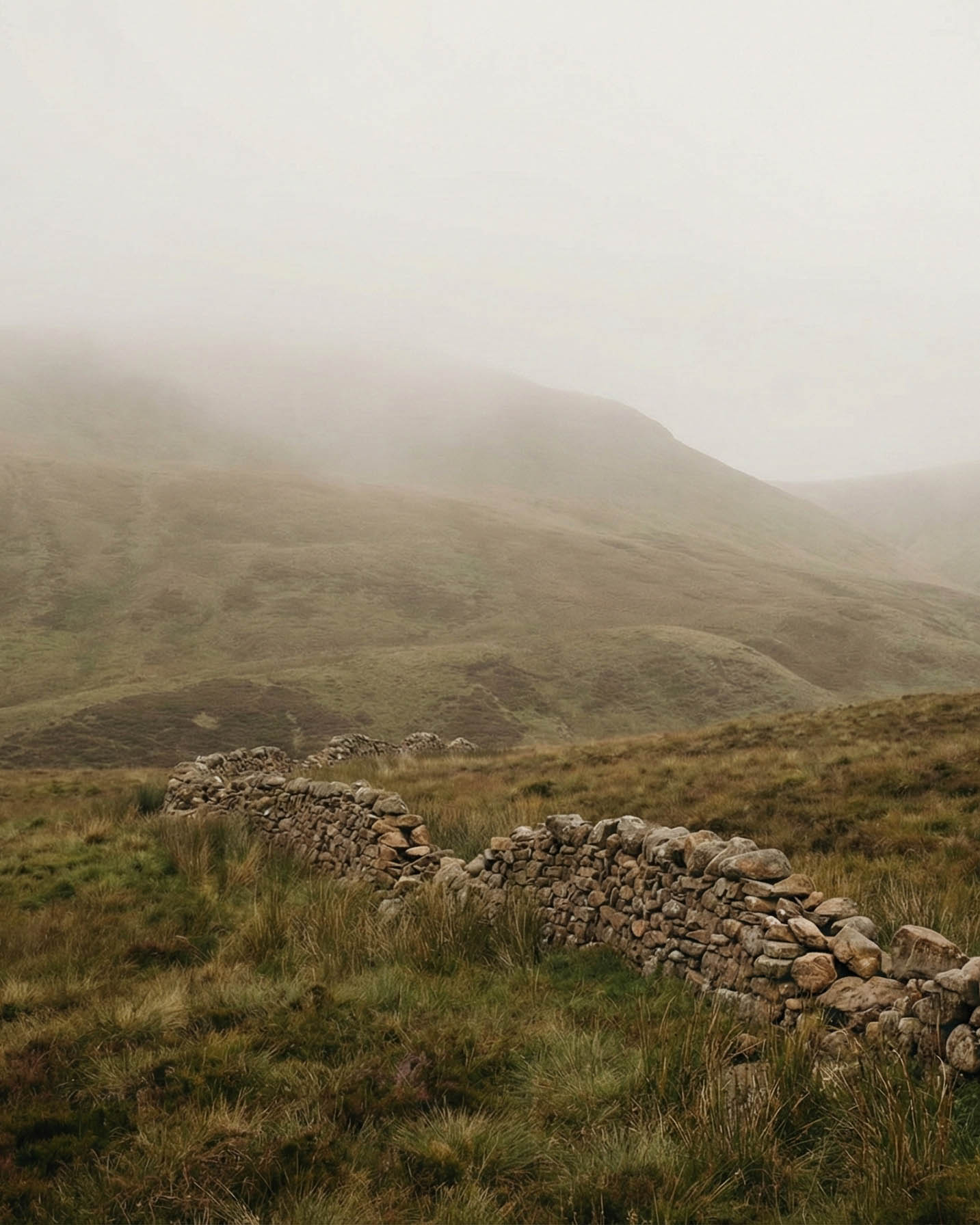 calm natural scene with broken wall