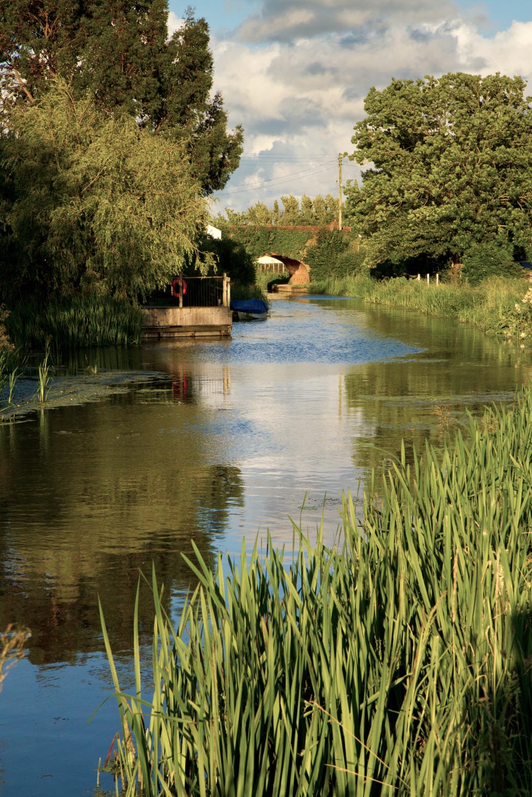 The Bridgwater and Taunton Canal — Somerset, venue for the Healing From the Past workshop, October 2026